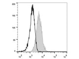 PE Anti-Mouse CD105 Antibody[MJ7/18]