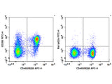 FITC Anti-Mouse CD200/OX2 Antibody[OX-90]