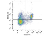 APC Anti-Mouse CD200/OX2 Antibody[OX-90]