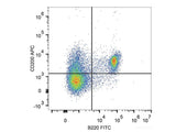 APC Anti-Mouse CD200/OX2 Antibody[OX-90]