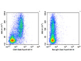 Biotin Anti-Mouse CD51 Antibody[RMV-7]