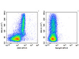 APC Anti-Mouse CD51 Antibody[RMV-7]