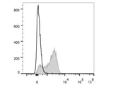 PE Anti-Mouse CD51 Antibody[RMV-7]