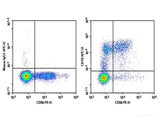 Purified Anti-Human CD16 Antibody[3G8]