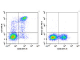 PE Anti-Human CD16 Antibody[3G8]