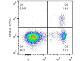 FITC Anti-Mouse Foxp3 Antibody[3G3]