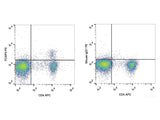 PE Anti-Mouse Foxp3 Antibody[3G3]