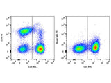 PE Anti-Human CD56/NCAM Antibody[5.1H11]