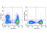 APC Anti-Human CD56/NCAM Antibody[5.1H11]