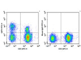 FITC Anti-Human CD73 Antibody[AD2]