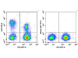 PE Anti-Human CD73 Antibody[AD2]