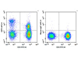 APC Anti-Human CD73 Antibody[AD2]