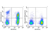 PE/Cyanine7 Anti-Human CD73 Antibody[AD2]