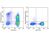 PE/Cyanine5.5 Anti-Human CD73 Antibody[AD2]