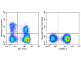 Elab Fluor® 488 Anti-Human CD73 Antibody[AD2]