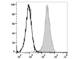 PE Anti-Mouse CD107a/LAMP-1 Antibody[1D4B]