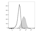 APC Anti-Mouse CD107a/LAMP-1 Antibody[1D4B]