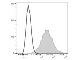 APC Anti-Mouse CD107a/LAMP-1 Antibody[1D4B]