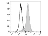 PE/Elab Fluor® 594 Anti-Mouse CD107a/LAMP-1 Antibody[1D4B]