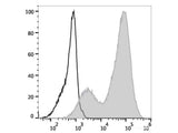 Elab Fluor® Violet 450 Anti-Mouse CD107a/LAMP-1 Antibody[1D4B]