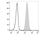 FITC Anti-Human CD66b Antibody[G10F5]