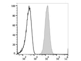 APC Anti-Human CD66b Antibody[G10F5]