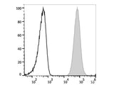 PE/Cyanine7 Anti-Human CD66b Antibody[G10F5]