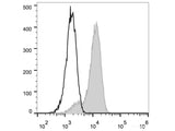 PE Anti-Human CD133 Antibody[W6B3C1]