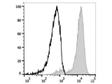 APC Anti-Human CD133 Antibody[W6B3C1]