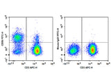 FITC Anti-Human CD56/NCAM Antibody[MY31]