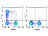 PE Anti-Human CD8a Antibody[HIT8a]