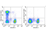 Elab Fluor® 488 Anti-Human CD8a Antibody[HIT8a]