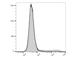 FITC Anti-Mouse IL-17A Antibody[17F3]