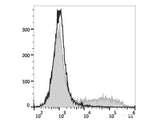 APC Anti-Mouse IL-17A Antibody[17F3]