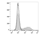 Elab Fluor® Violet 450 Anti-Mouse IL-17A Antibody[17F3]