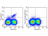 FITC Anti-Mouse TCR γ/δ Antibody[GL3]