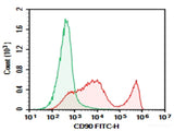 AF/LE Purified Anti-Mouse CD90 Antibody[M5/49.4.1]