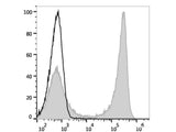 FITC Anti-Mouse CD90 Antibody[M5/49.4.1]