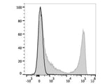 APC Anti-Mouse CD90 Antibody[M5/49.4.1]