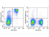 PE/Cyanine7 Anti-Mouse CD90 Antibody[M5/49.4.1]