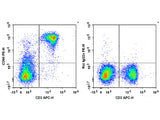 PE Anti-Mouse CD90 Antibody[M5/49.4.1]