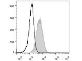 APC Anti-Mouse CD34 Antibody[RAM34]