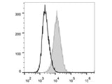 PE Anti-Mouse CD34 Antibody[RAM34]