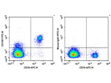 FITC Anti-Human CD185/CXCR5 Antibody[J252D4]