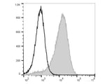 APC Anti-Mouse CD36 Antibody[HM36]