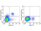 Elab Fluor® 647 Anti-Mouse Perforin Antibody[S16009A]