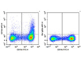 APC Anti-Mouse CD163 Antibody[S15049F]