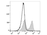 FITC Anti-Rat CD45RA Antibody[OX-33]
