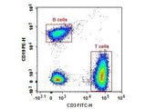 Anti-Human CD3-FITC/CD19-PE Cocktail
