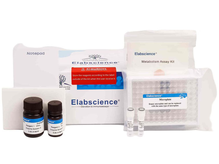 Glucose (GLU) Fluorometric Assay Kit– MSE Supplies LLC